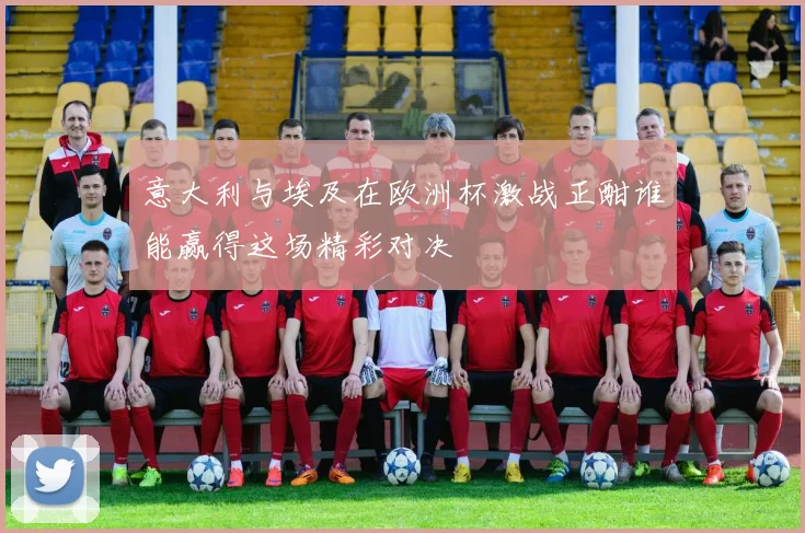 意大利与埃及在欧洲杯激战正酣谁能赢得这场精彩对决