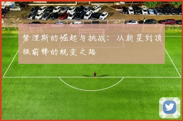 努涅斯的崛起与挑战：从新星到顶级前锋的蜕变之路