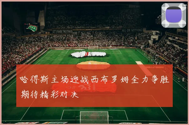 哈得斯主场迎战西布罗姆全力争胜期待精彩对决