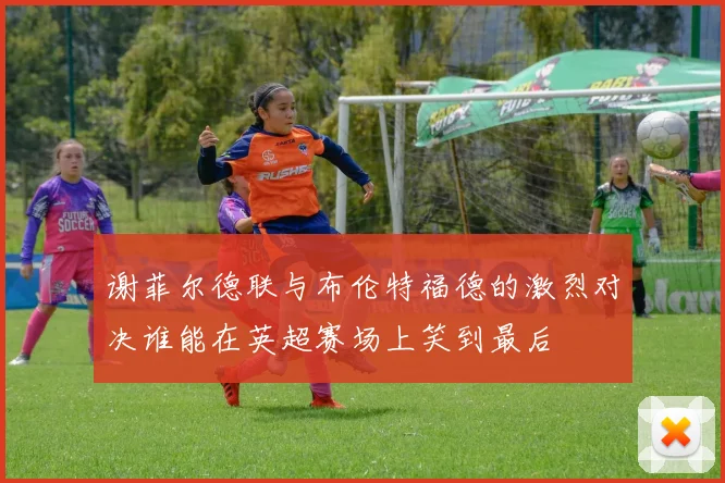 谢菲尔德联与布伦特福德的激烈对决谁能在英超赛场上笑到最后