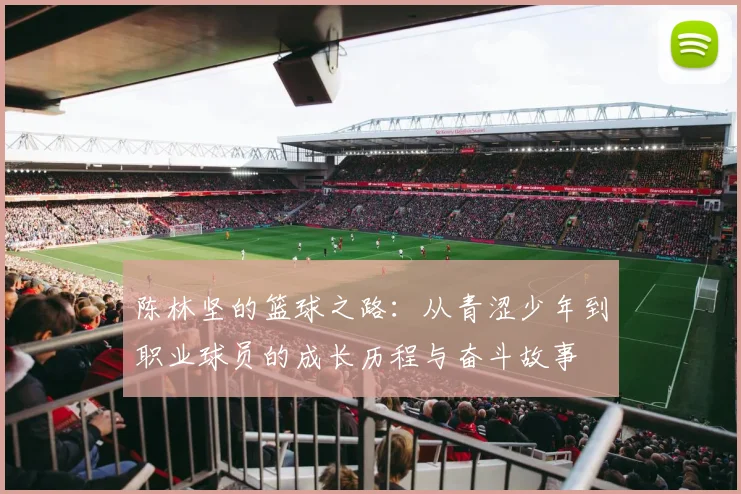 陈林坚的篮球之路：从青涩少年到职业球员的成长历程与奋斗故事