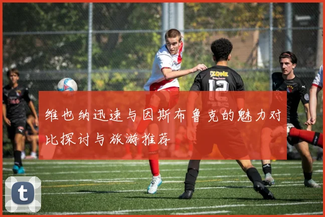 维也纳迅速与因斯布鲁克的魅力对比探讨与旅游推荐